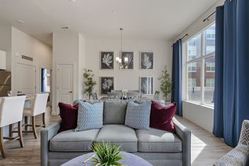 Living room with grey couch9